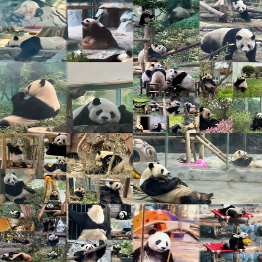 What Are the Top Panda Attractions in Chengdu