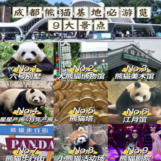 Chengdu Research Base of Giant Panda Breeding: A Must-Visit for Panda Lovers