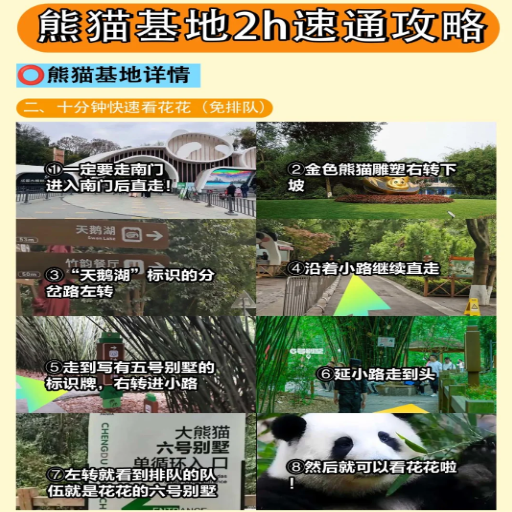 How to Get to the Chengdu Panda Base