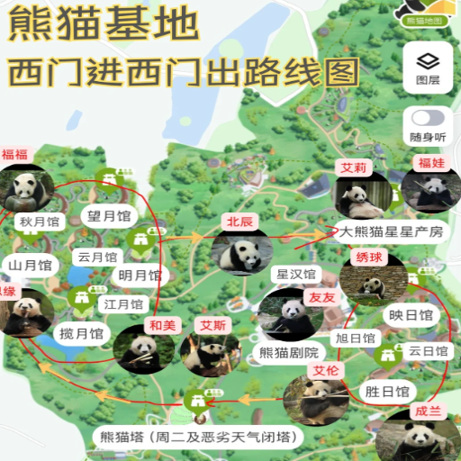 What Are the Best Panda Viewing Spots in the Chengdu Panda Reserve