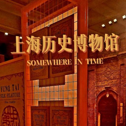 Which museums offer the best insights into Shanghai's history and culture