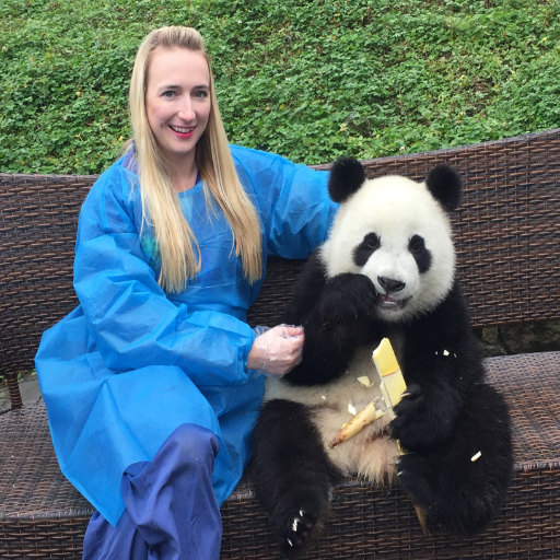 Is it Possible to Hold a Panda at Chengdu Panda Base?