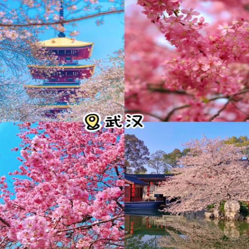 What are the Top Places to Visit in China During Spring