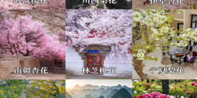 Top Places to Visit in China in Spring: Travel Tips & Destinations