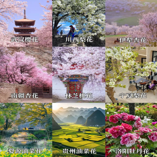 Top Places to Visit in China in Spring: Travel Tips & Destinations