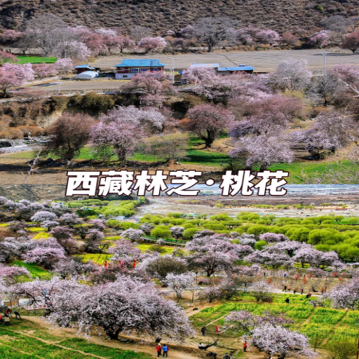 Top Places to Visit in China in Spring: Highlights & Travel Tips