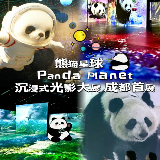 What Can You Expect at the Chengdu Panda Base