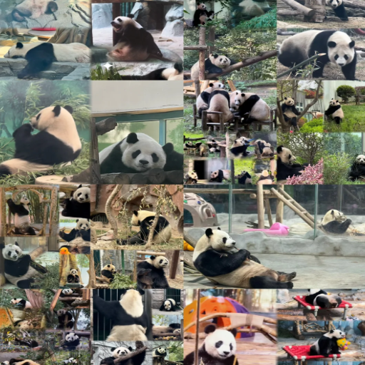 What are other places in China where you can see pandas