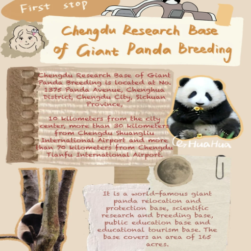 What Can You Expect from a Panda Tour at the Chengdu Panda Base