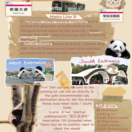 What Other Panda Bases Can You Visit Near Chengdu