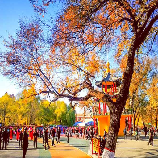 How to Plan the Perfect Chengdu Itinerary?