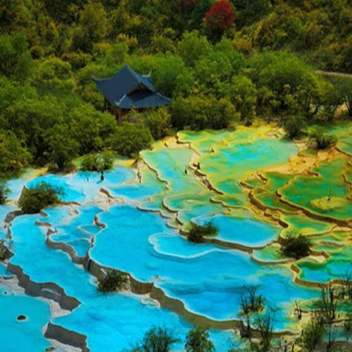 chengdu private tours