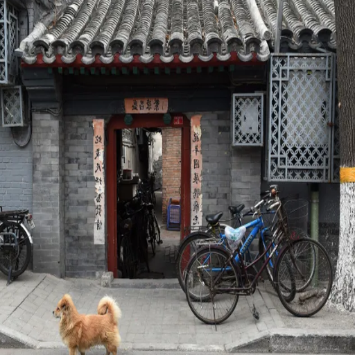 How to Explore Beijing’s Hutongs?