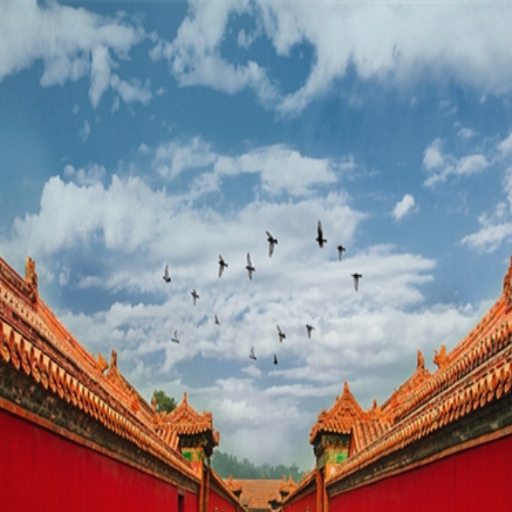 What Are the Tips for a Successful Forbidden City Tour Experience?