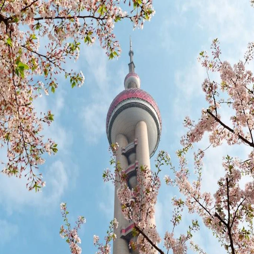 When is the best time to visit Shanghai?