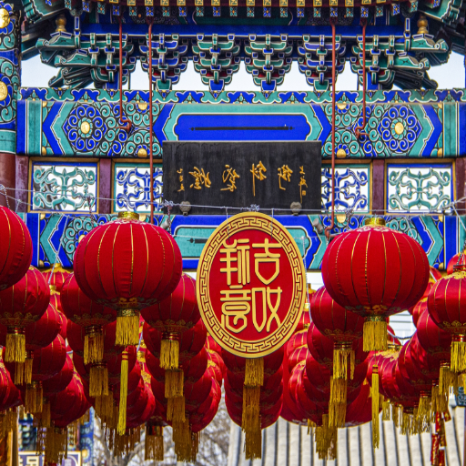 What Are the Unique Aspects of the Spring Festival in China?