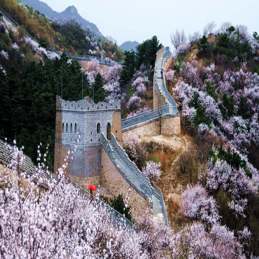 How Does Spring in China Transform the Landscape?