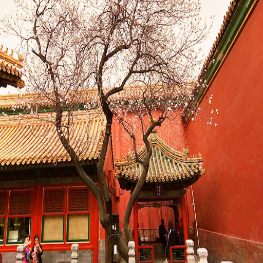 When is the Best Time to Visit the Forbidden City?