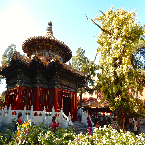 What Can You See Near the Forbidden City?
