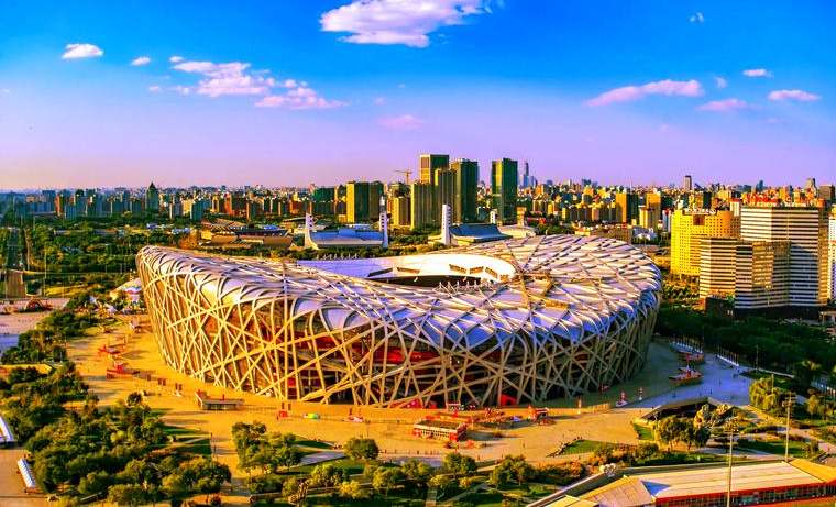 Bird's Nest