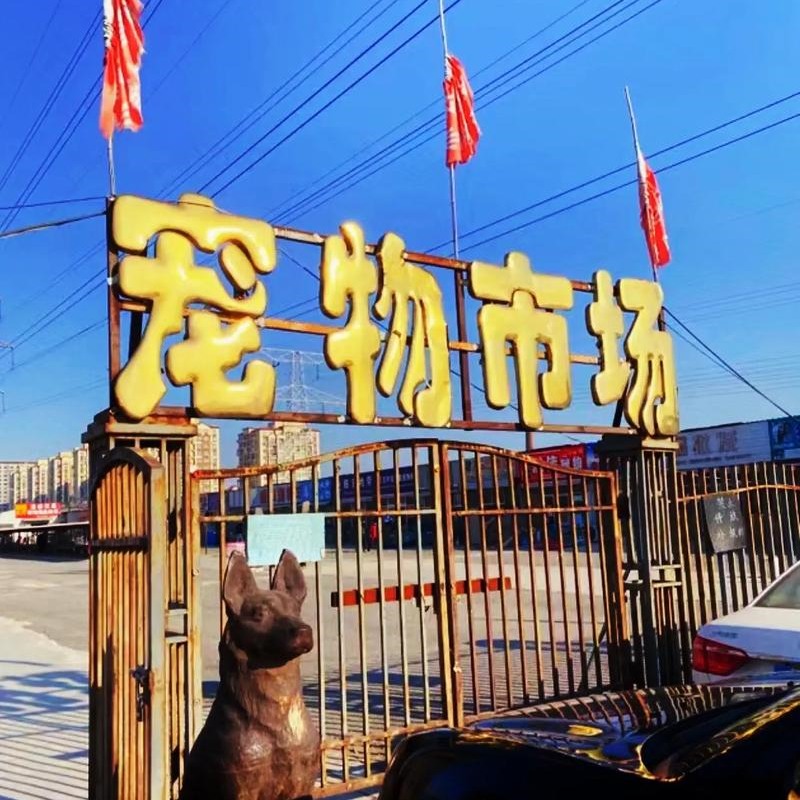 Aisida Pet Market