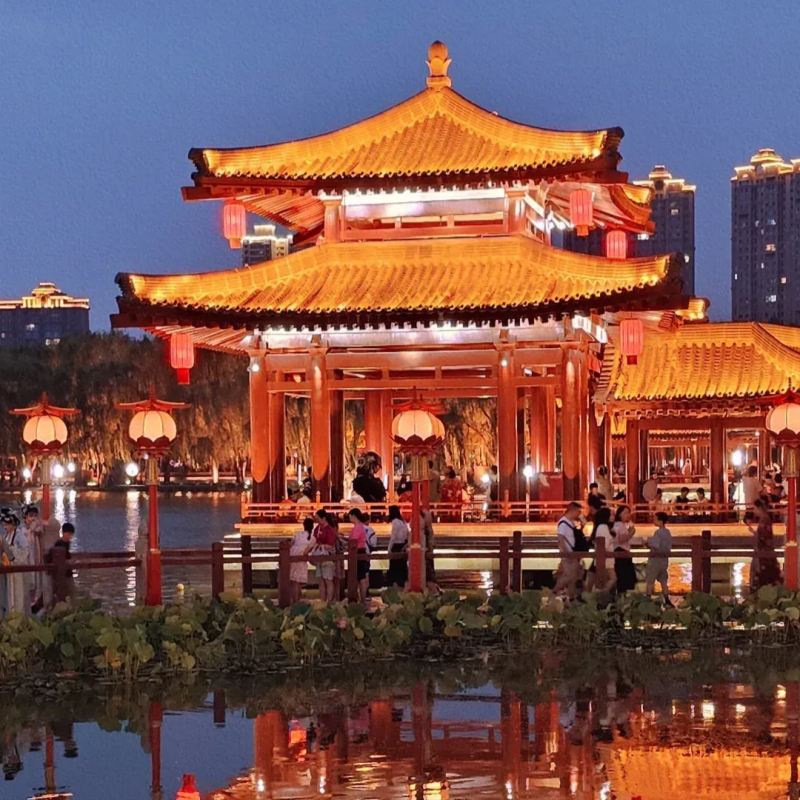 Tang Paradise
