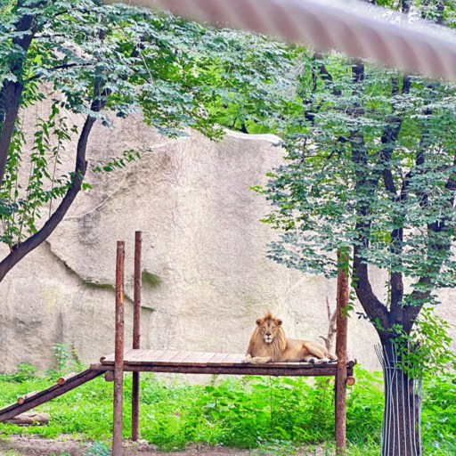 Beijing Zoo