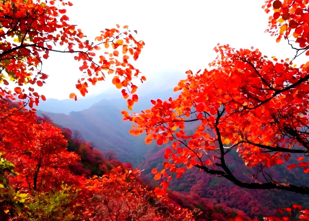 Xiangshan Beijing