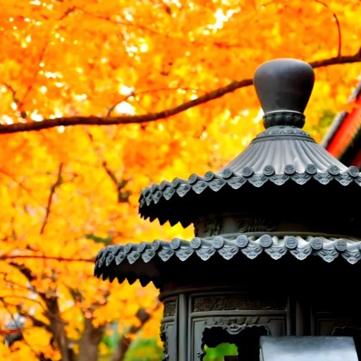 Autum of Xiangshan
