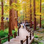 Beijing Botanical Garden