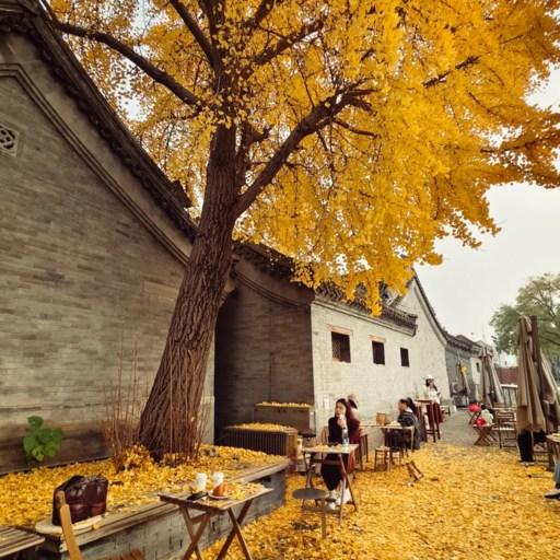 Hutong of Beijing Autumn
