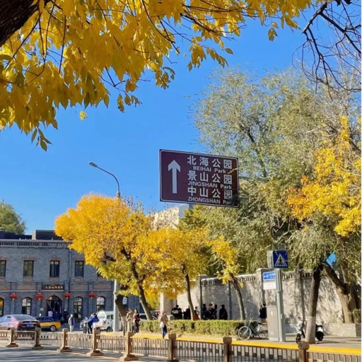 Street of Beijing Autumn