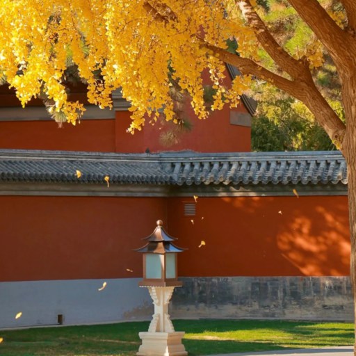 The Forbidden City of Beijing Autumn