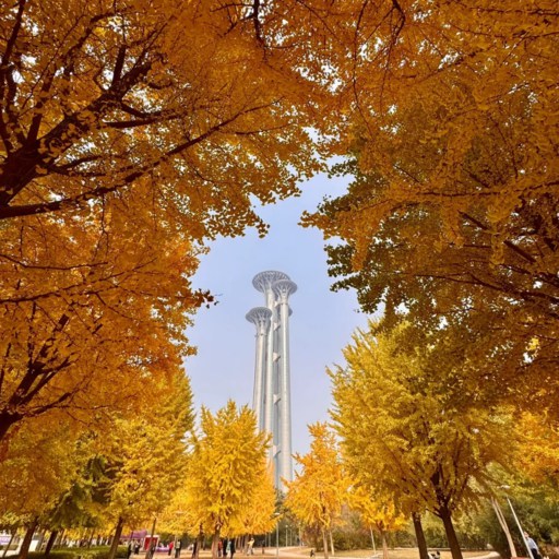Autumn of Olympic Park