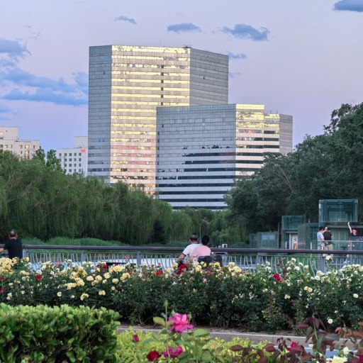 Plants in Olymipic Park