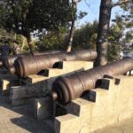 The Cannon Platform