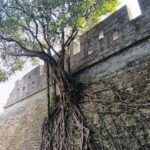 Ming City Wall