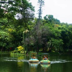 Yuexiu Park