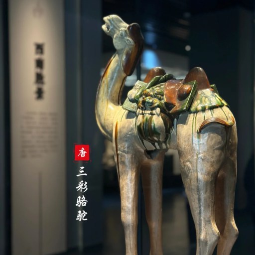 Tang Tri-colored Glazed Pottery