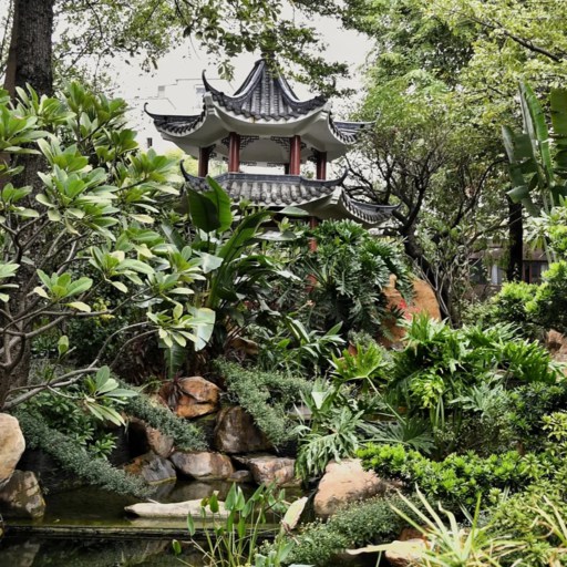 Plants in Guangzhou Cultural Park