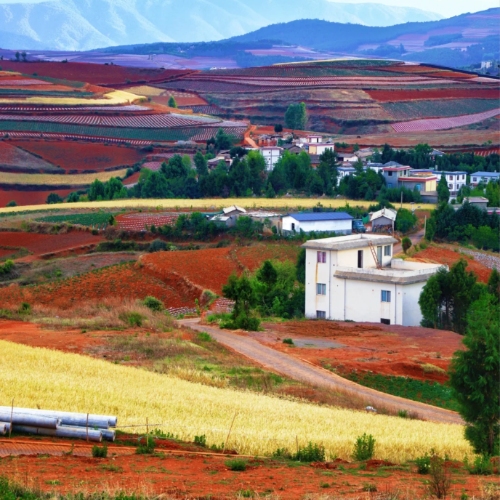 Dongchuan Red Land