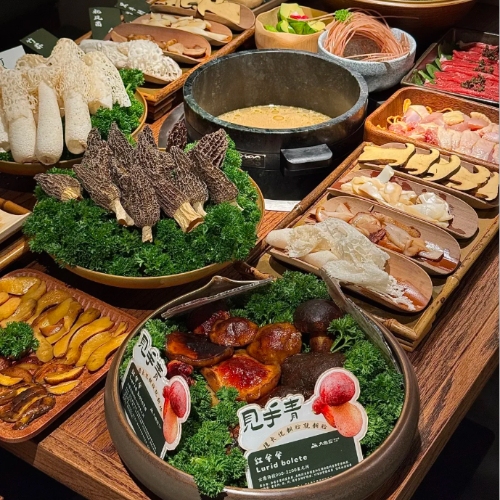 Wild Mushroom Hot Pot