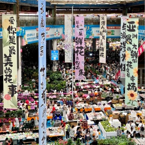 Dounan Flower Market