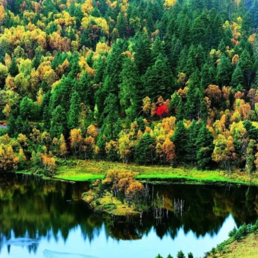 Spring of Potatso National Park Yunnan