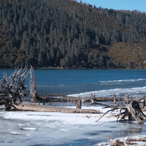 Winter of Potatso National Park Yunnan