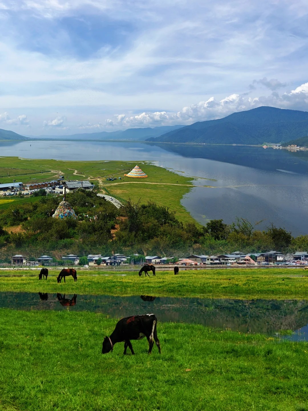 Napa Lake Nature Reserve