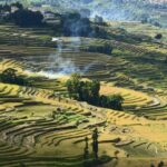 Spring of Yuanyang Rice Terraces