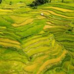 Summer of Yuanyang Rice Terraces