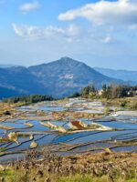 Winter of Yuanyang Rice Terraces