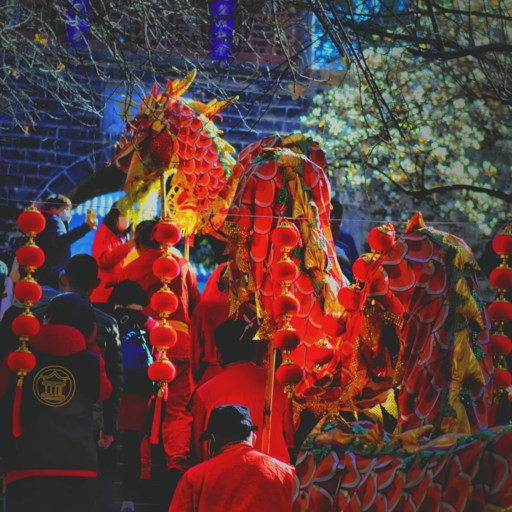 Activities in Golden Temple